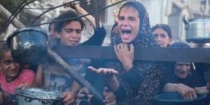 منظمة: 15 من كل 16 فلسطينيا قتلوا على يد إسرائيل فى غزة كانوا مدنيين - الأول نيوز