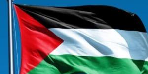 وزير بريطاني سابق: المجتمع الدولي مطالب بالتحرك الفوري لإنقاذ حل الدولتين - الأول نيوز