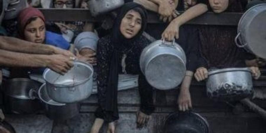 نداء أردنى-أوروبى لحماية أطفال فلسطين فى غزة والضفة الغربية بالأمم المتحدة - الأول نيوز