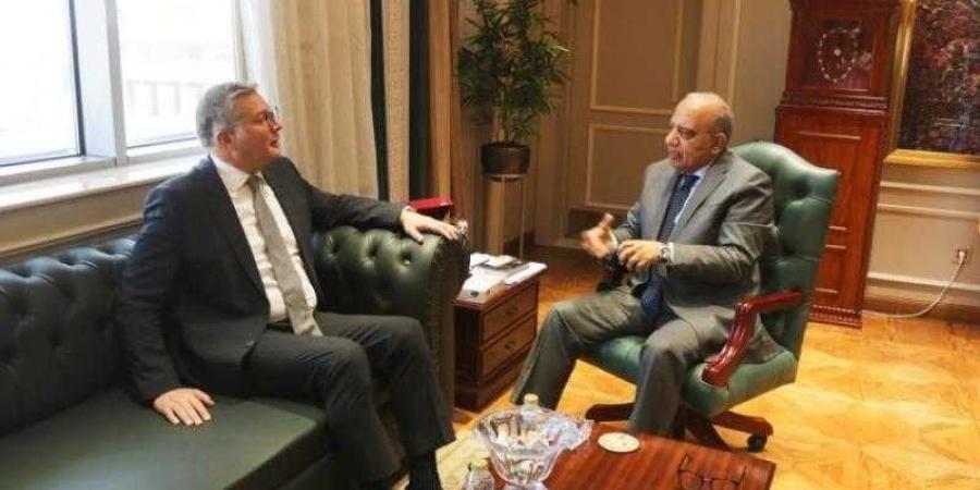 وزيرا الكهرباء والبترول يناقشان خطة العمل في إطار التوسع في مشروعات الطاقات المتجددة - الأول نيوز