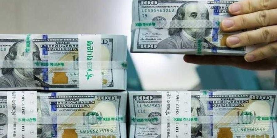 أسعار الدولار في مصر اليوم السبت - الأول نيوز
