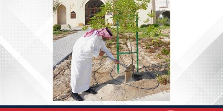 الأوقاف السنية تشارك في فعاليات أسبوع الشجرة - الأول نيوز