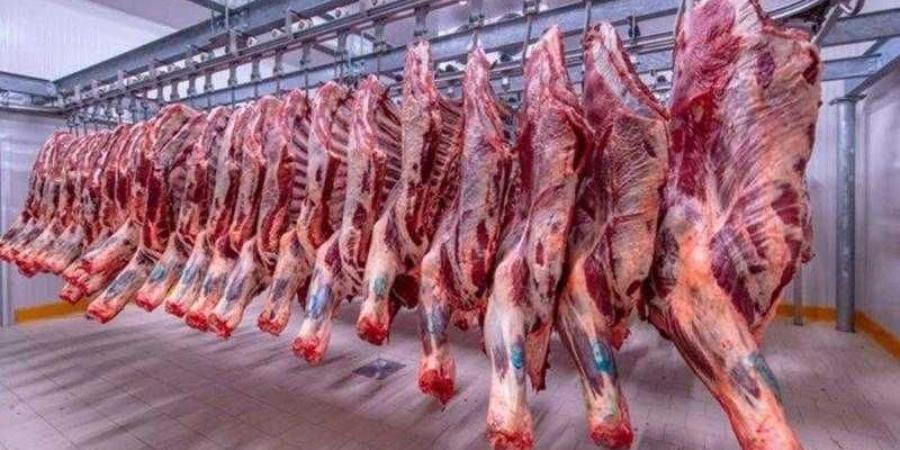 أسعار اللحوم في مصر اليوم الاربعاء - الأول نيوز