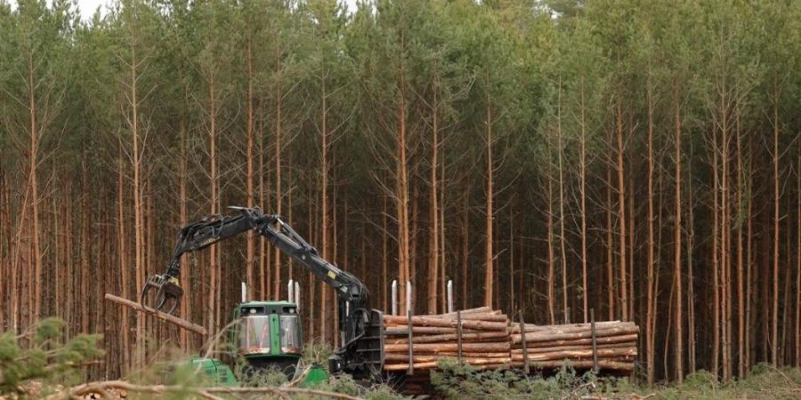 الاتحاد الأوروبي يدرس خفض هدفه المناخي 2040.. بسبب قدرة الغابات - الأول نيوز