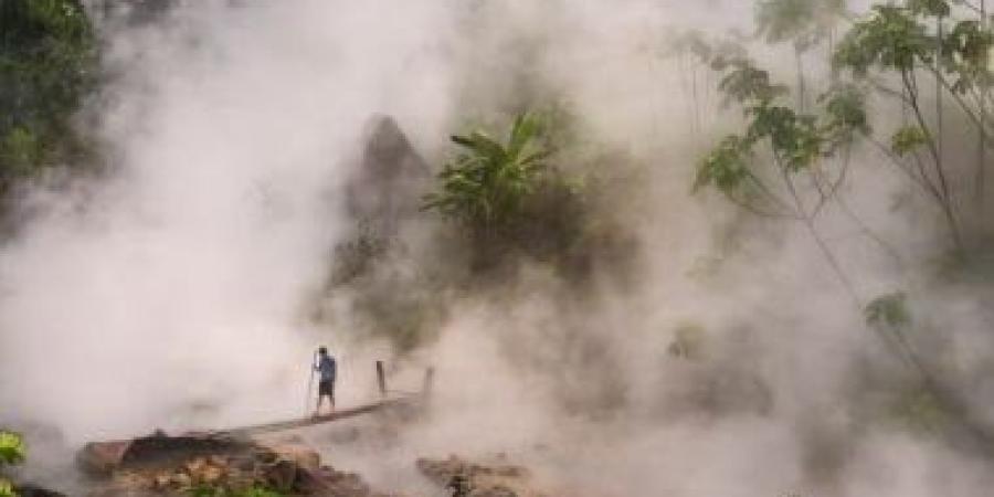 درجات حرارة المياه في بحيرات الأمازون ترتفع وتهدد بمقتل الحياة البرية - الأول نيوز