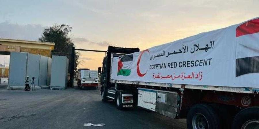 مجلس الوزراء: تقديم أكثر من 665 ألف طن مساعدات إلى غزة منذ بدء الأزمة - الأول نيوز