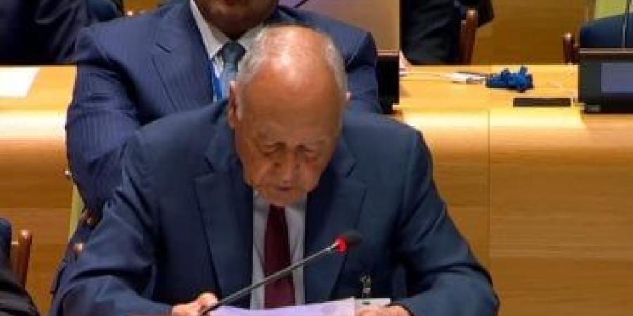 أبو الغيط يتوجه إلى الصين ويشارك فى عدة فعاليات في بكين ومدن أخرى - الأول نيوز